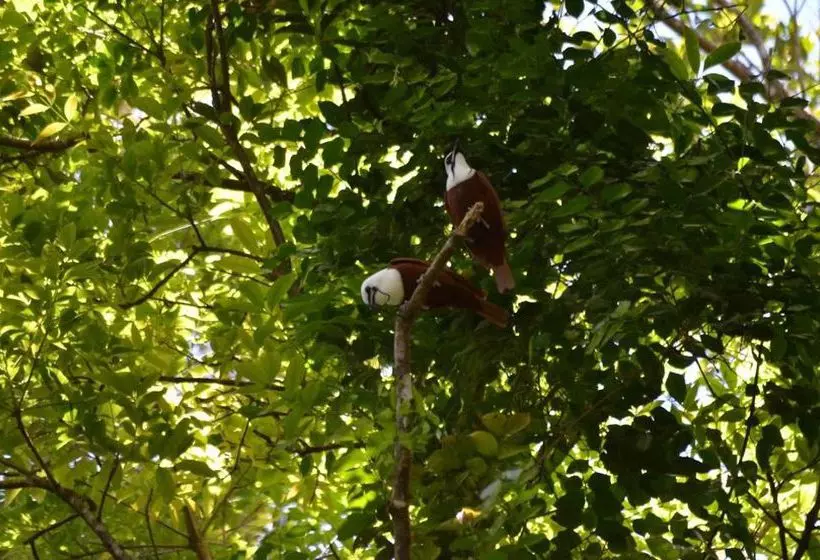 Fotos del hotel El Bosque Trails & Ecolodge:  19