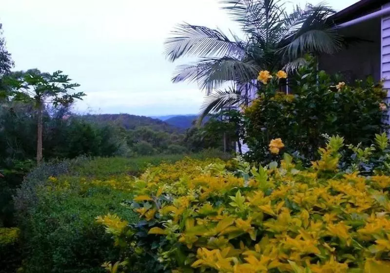 Fotos del hotel Hilltop On Tamborine:  10