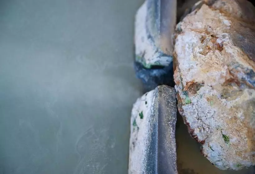 Fotos del hotel Hakone Gora Kanon:  7