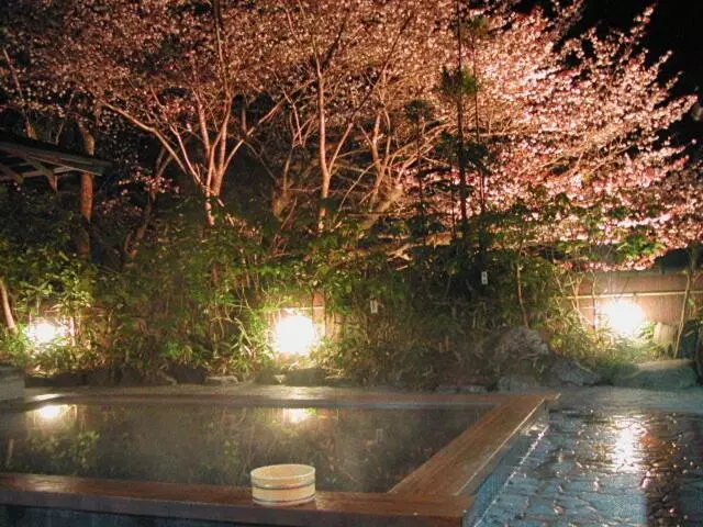 Fotos del hotel Kurama Onsen:  2