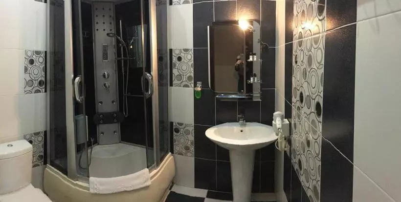 Fotos del hotel Nyvky Plaza Hotel:  12