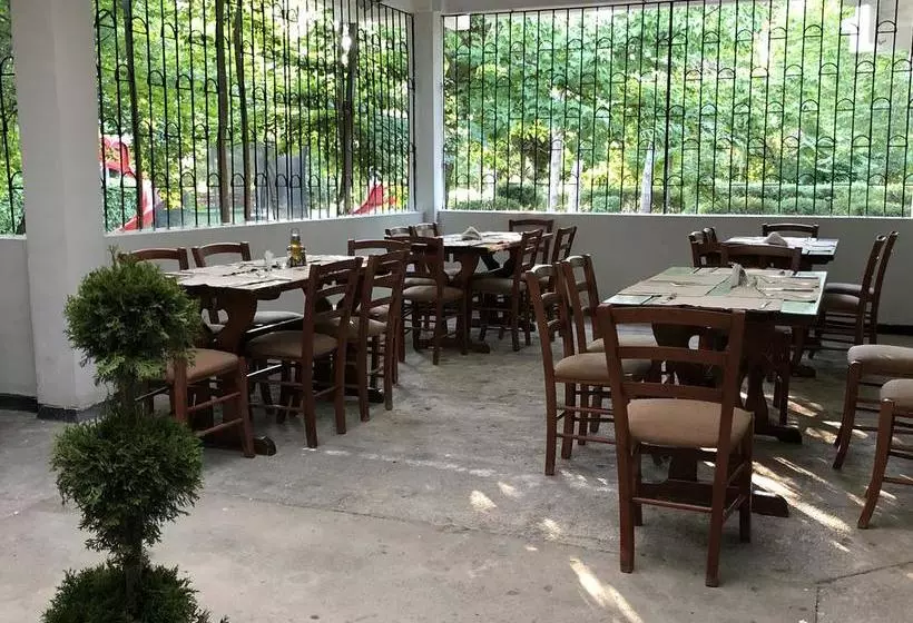 Fotos del hotel Semiramis:  14