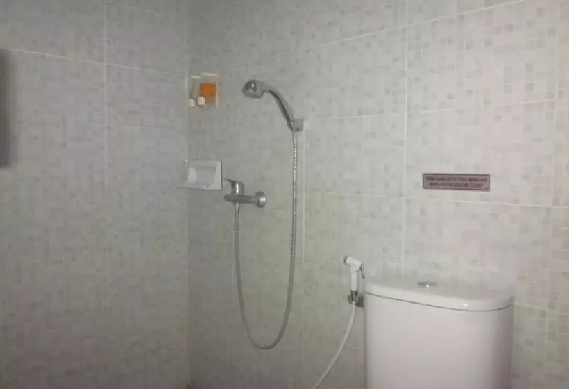Fotos del hotel Barito:  7