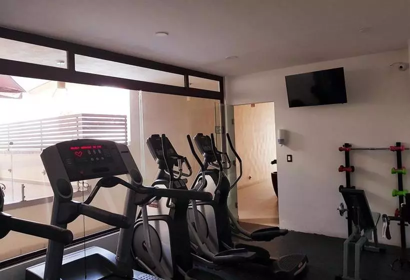 Fotos del hotel La Casa de los Dos Leones:  11
