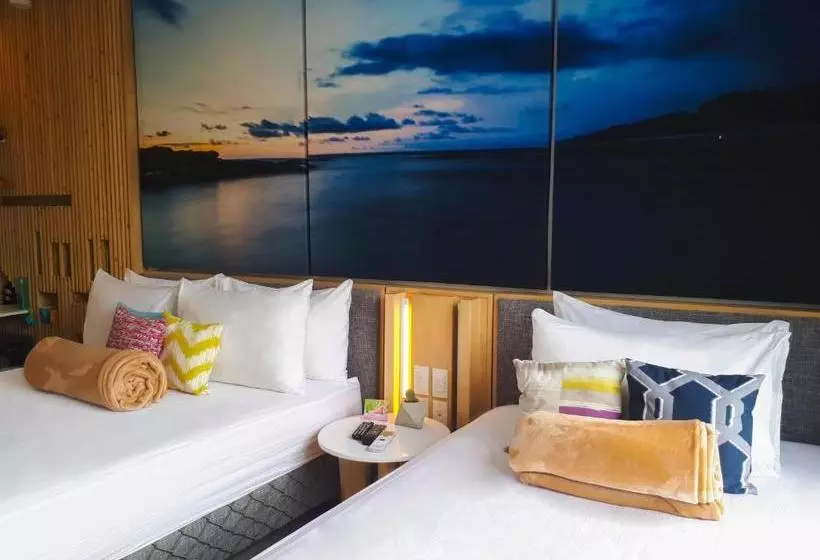 Fotos del hotel Covo:  10