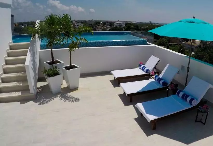 Fotos del hotel We Express  Playa Del Carmen:  4