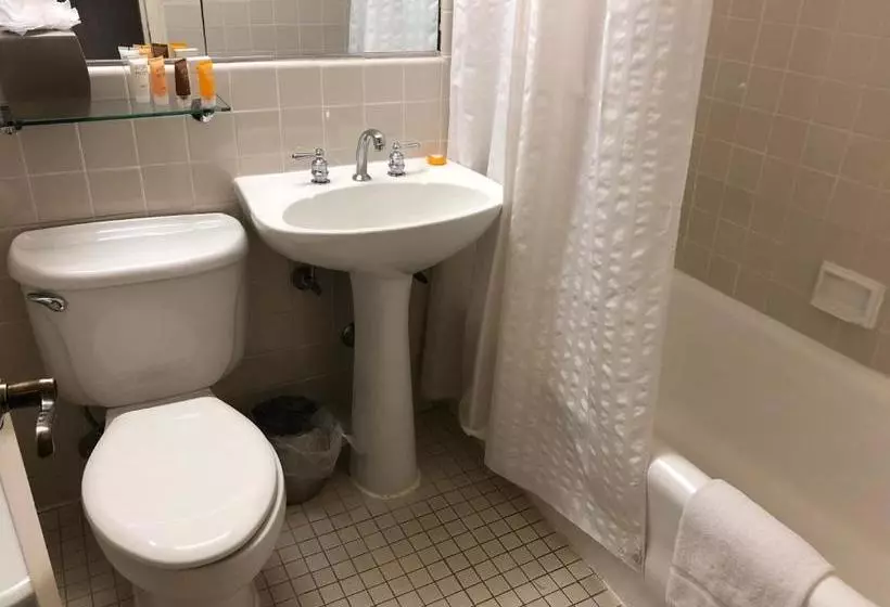 Fotos del hotel The Roosevelt Hotel:  7