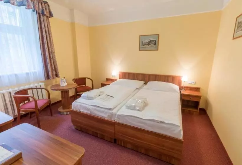 Fotos del hotel Ensana Vltava:  2