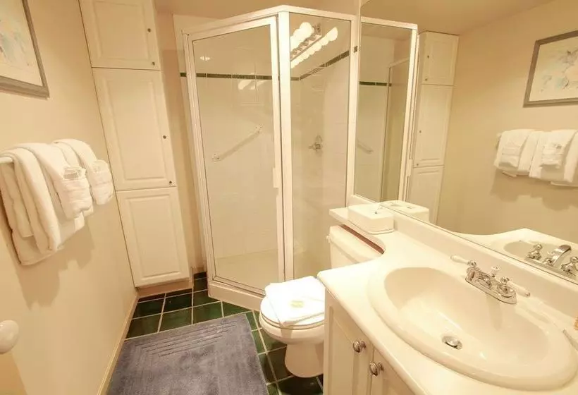 Fotos del hotel Town Plaza:  24