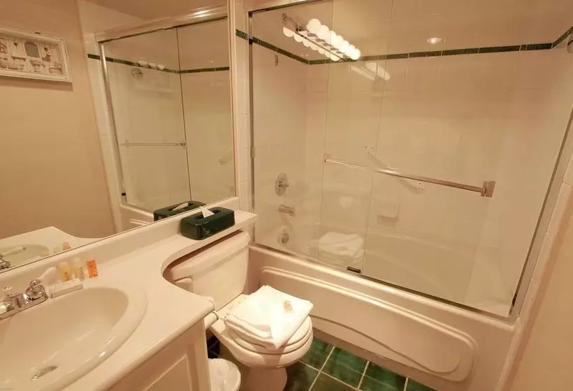 Fotos del hotel Town Plaza:  25