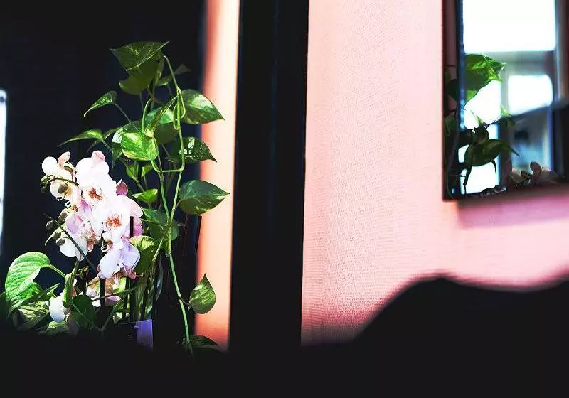 Fotos del hotel Jean Gabriel:  11