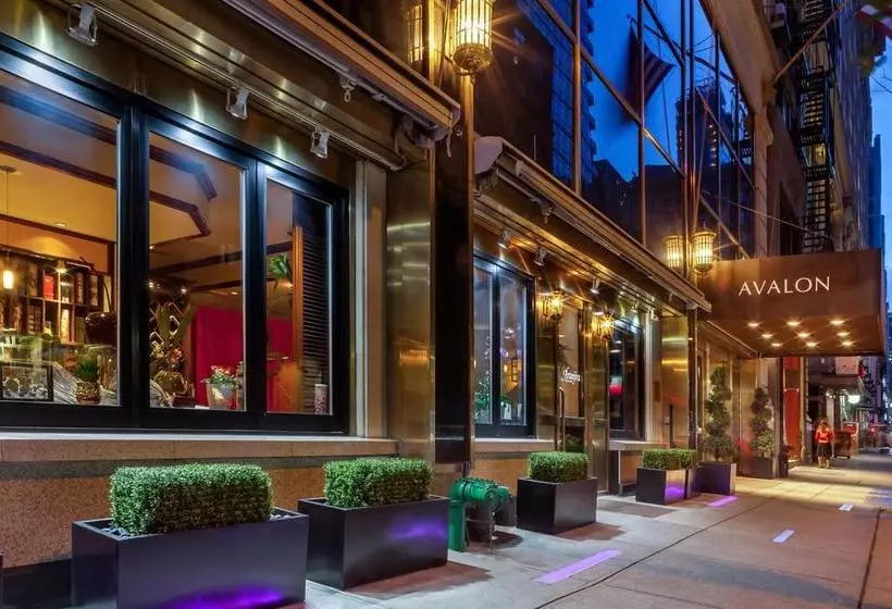 Fotos del hotel Avalon:  3