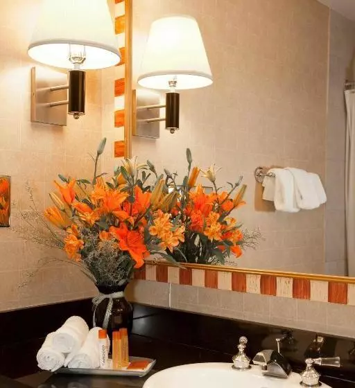 Fotos del hotel Skyline:  8