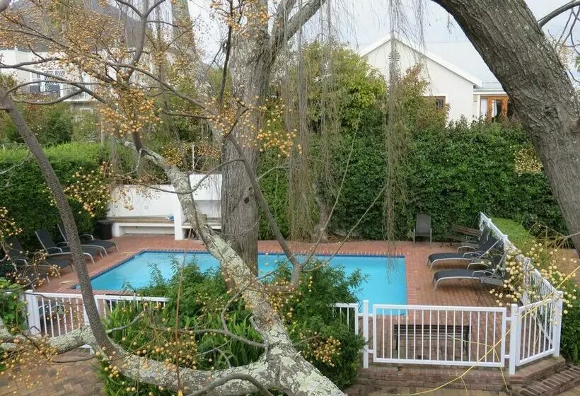 Fotos del hotel Fynbos Villa Guest House:  15