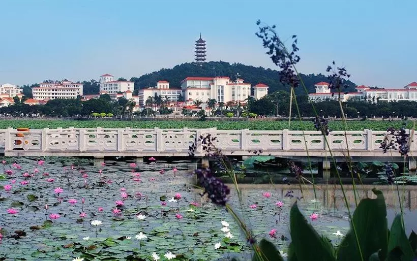 Fotos del hotel Dongguan Goodview Hotel Sangem Qiaotou:  3