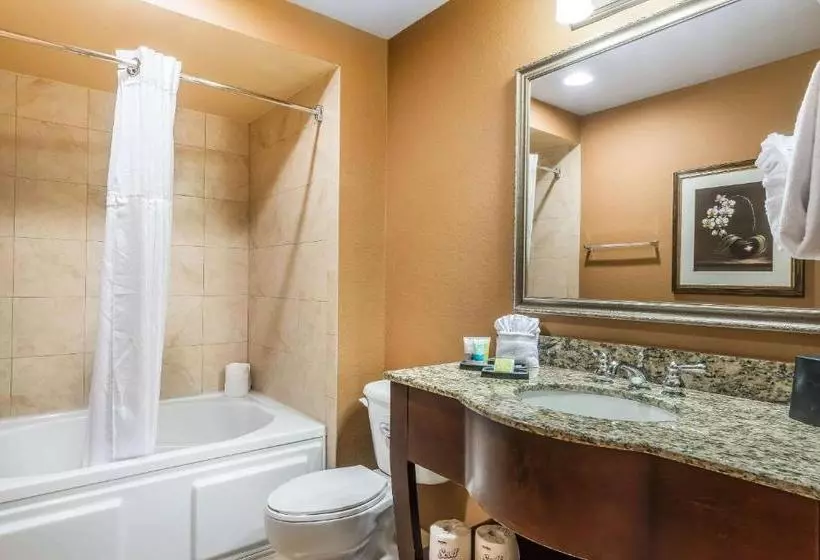 Fotos del hotel Bluegreen Vacations The Fountains, Ascend Resort Collection:  10