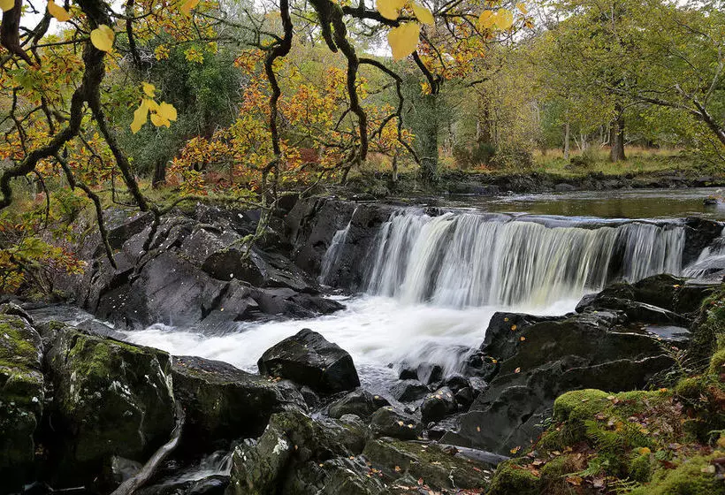 Fotos del hotel Innisfallen:  6