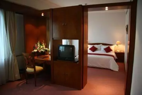 Fotos del hotel Twin Plaza:  9