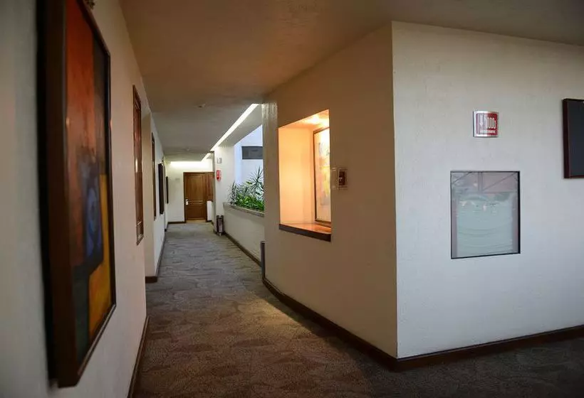 Fotos del hotel Ramada Via Veneto Mexico City South:  4