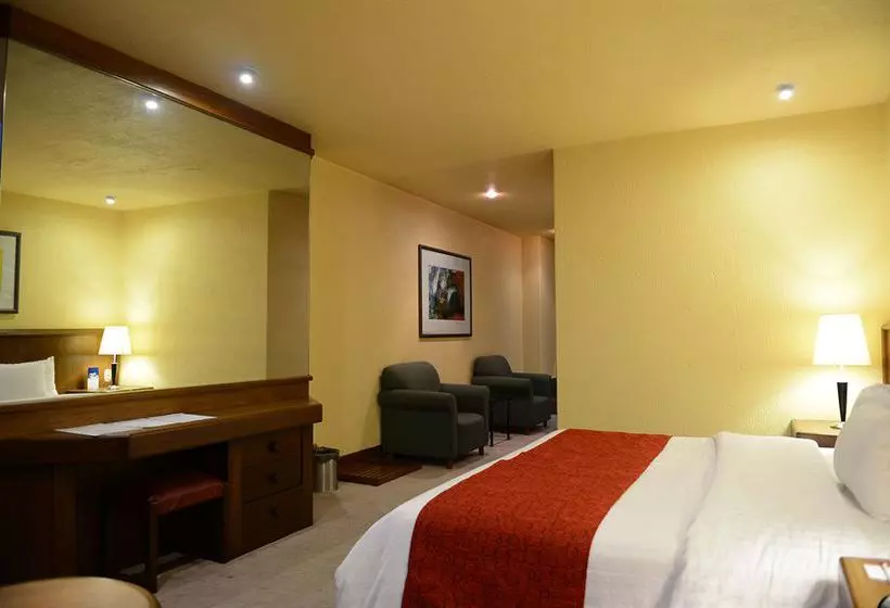 Fotos del hotel Ramada Via Veneto Mexico City South:  23