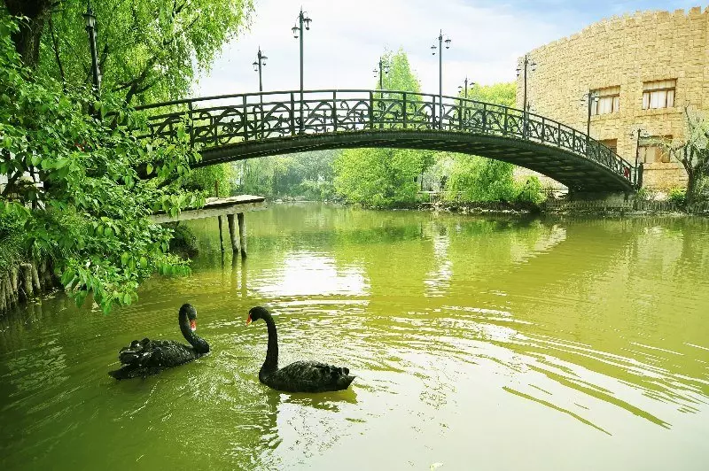 Fotos del hotel Golden Villa Club:  7