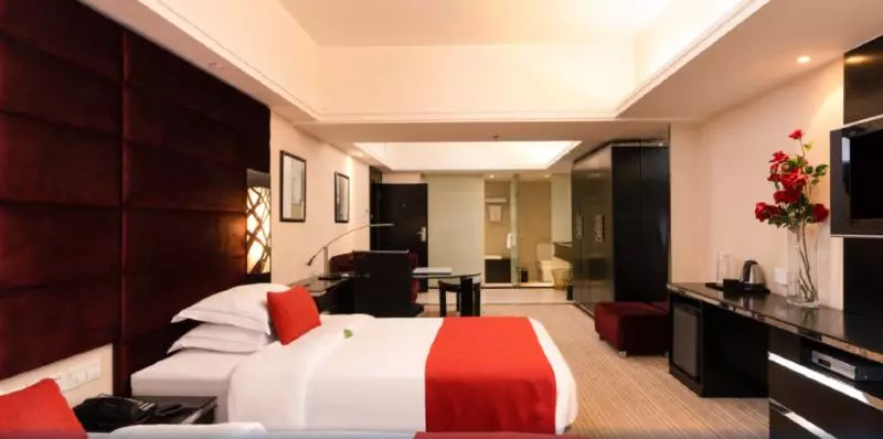 Fotos del hotel Sanzan:  8