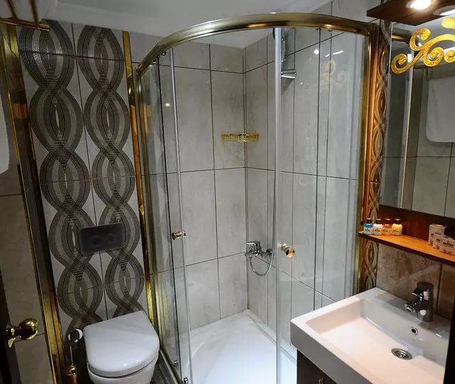 Fotos del hotel World Heritage Hotel Istanbul:  2