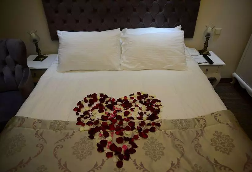 Fotos del hotel World Heritage Hotel Istanbul:  23