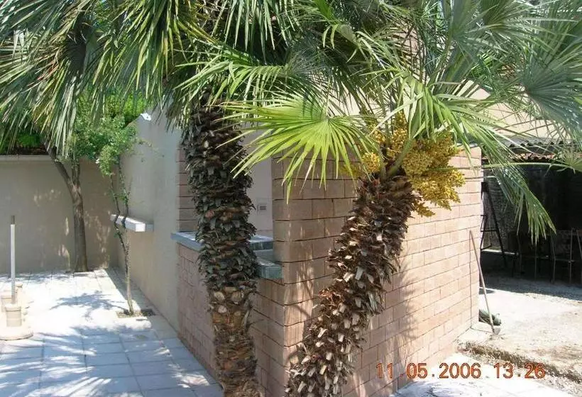 Fotos del hotel Trieste:  6