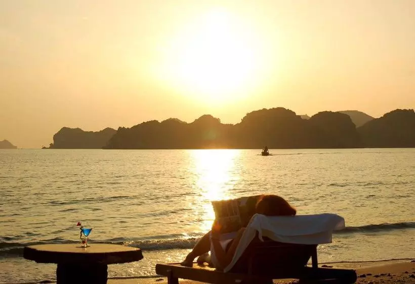 Fotos del hotel Monkey Island Resort:  4