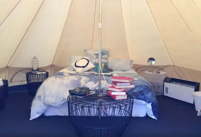 Fotos del hotel St. Jerome's - The:  10