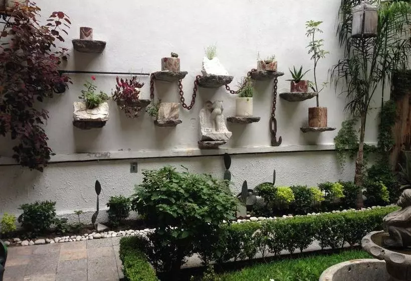 Fotos del hotel Meson Sacristia De La Soledad:  17