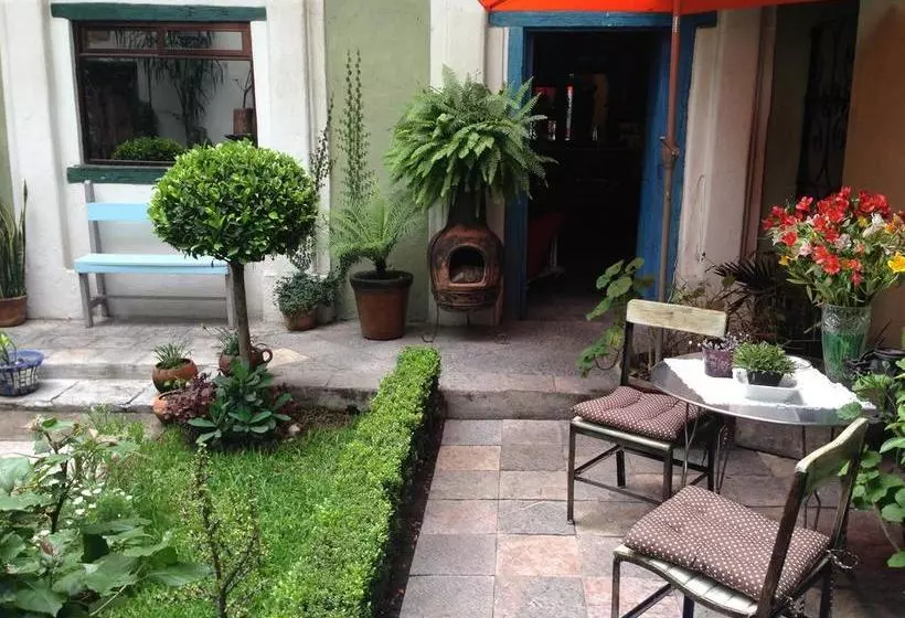 Fotos del hotel Meson Sacristia De La Soledad:  9