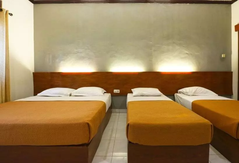 Fotos del hotel Santo Guest House:  17