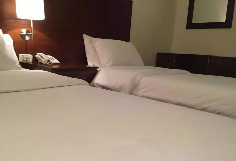 Fotos del hotel Petra By Night:  23