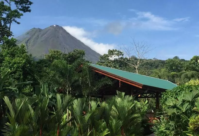 Fotos del hotel Mussaenda, Arenal:  5