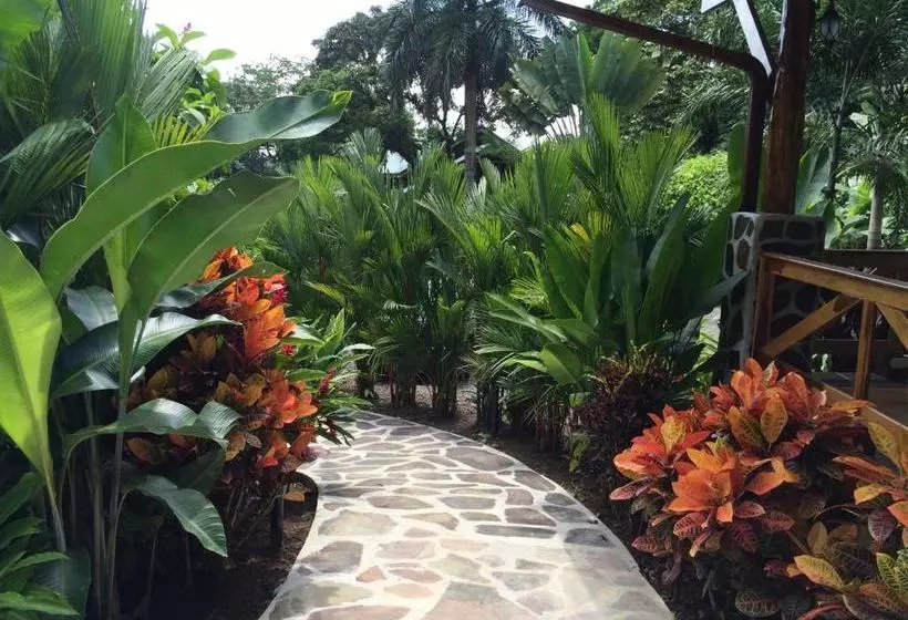 Fotos del hotel Mussaenda, Arenal:  9