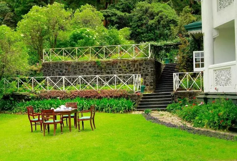Fotos del hotel Green Forest:  13
