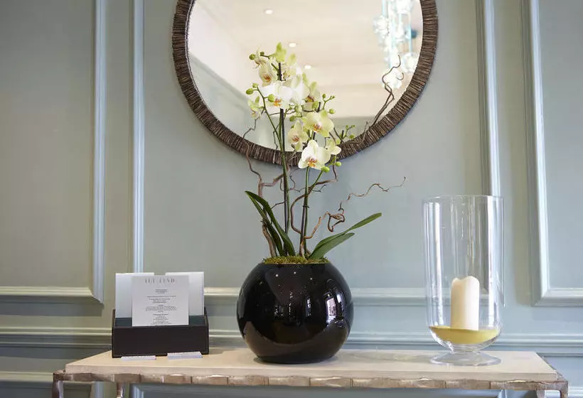 Fotos del hotel The Levin:  15