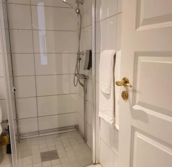 Fotos del hotel L Astoria:  5