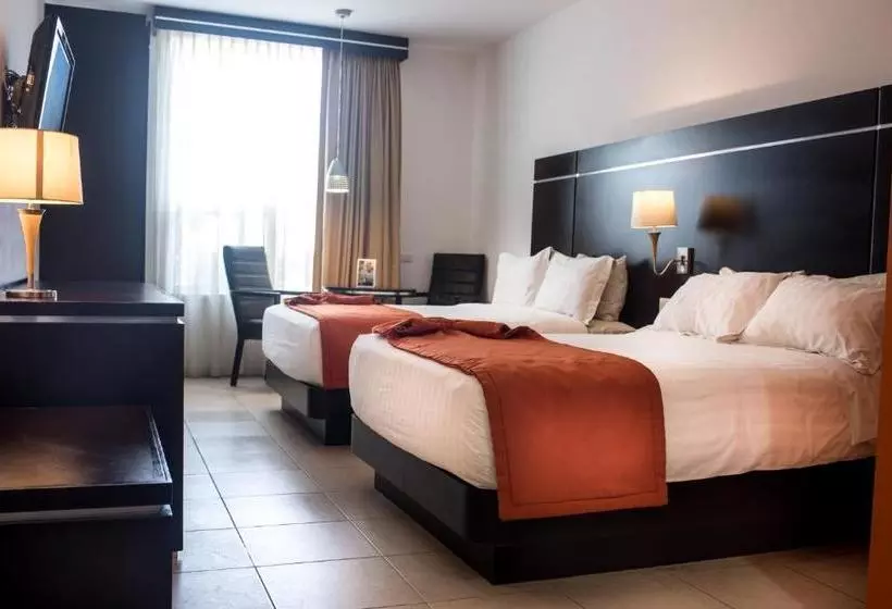 Fotos del hotel Oliba:  2