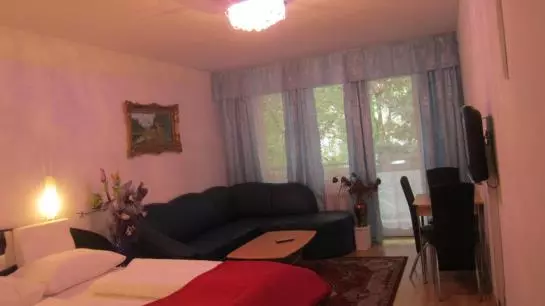 Fotos del hotel Hotel Pension Adam Apartment:  23