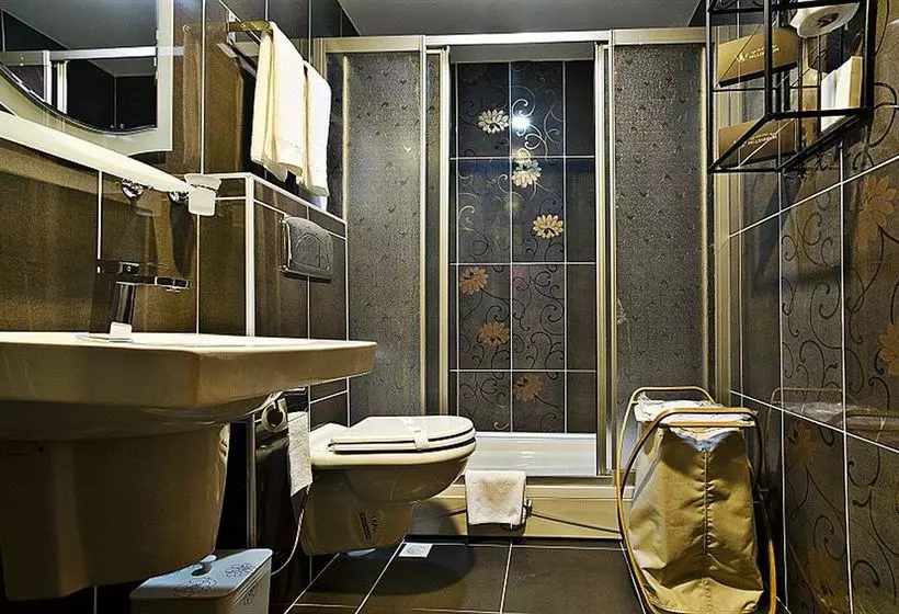 Fotos del hotel Millennium Suites:  7