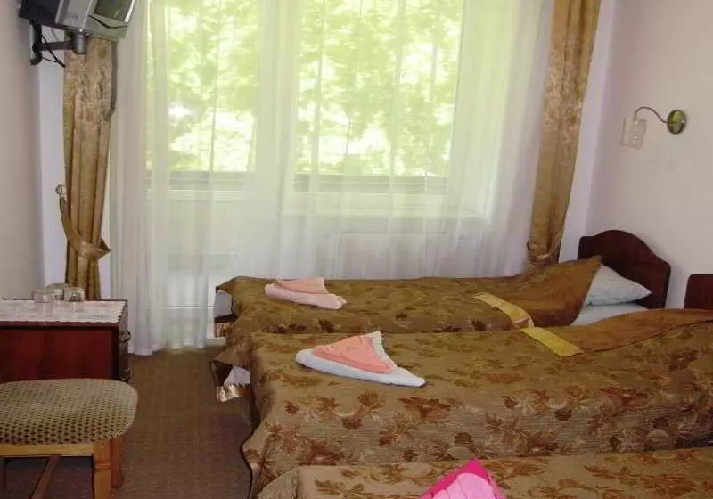 Fotos del hotel Svitlytsya:  1
