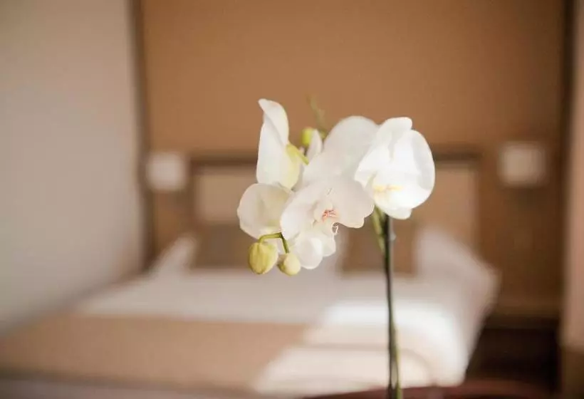 Fotos del hotel Check Inn:  12