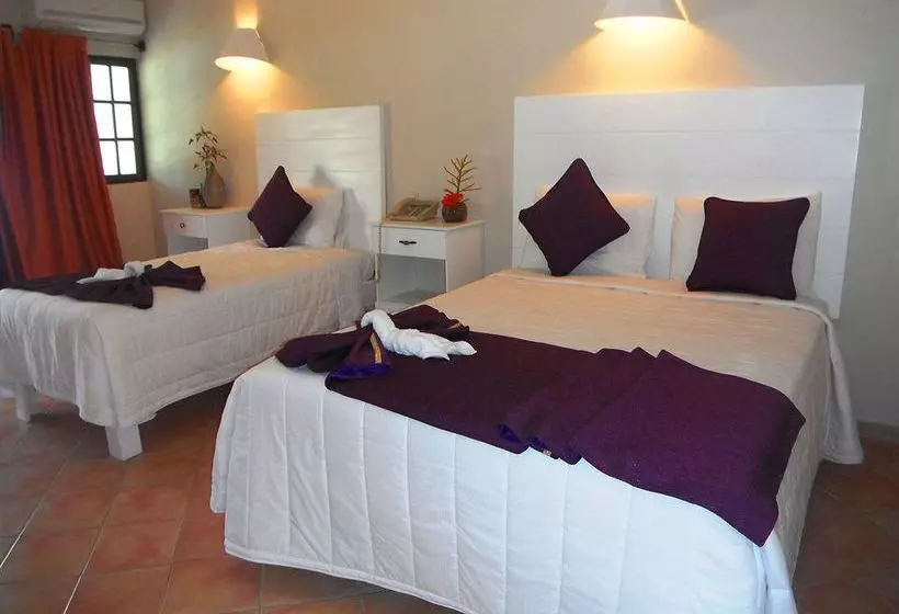 Fotos del hotel Arena Dorada:  24