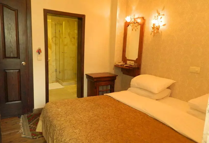 Fotos del hotel Apricot Hotel Istanbul:  15