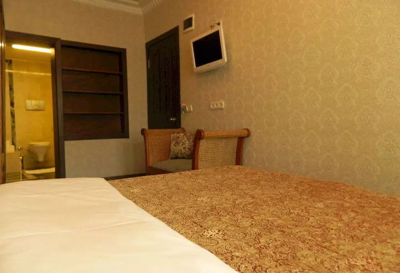 Fotos del hotel Apricot Hotel Istanbul:  21