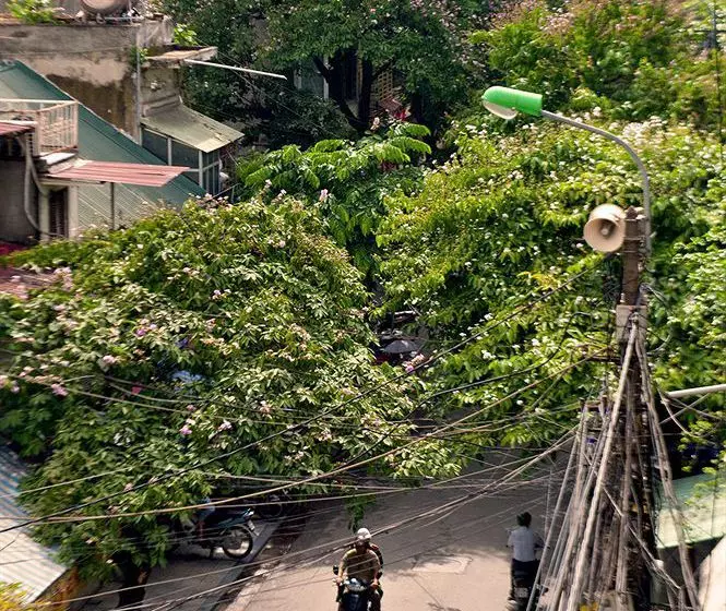 Fotos del hotel Luminous Viet:  8