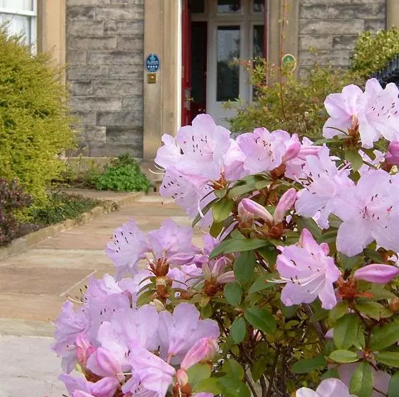 Fotos del hotel Ashdene House:  15